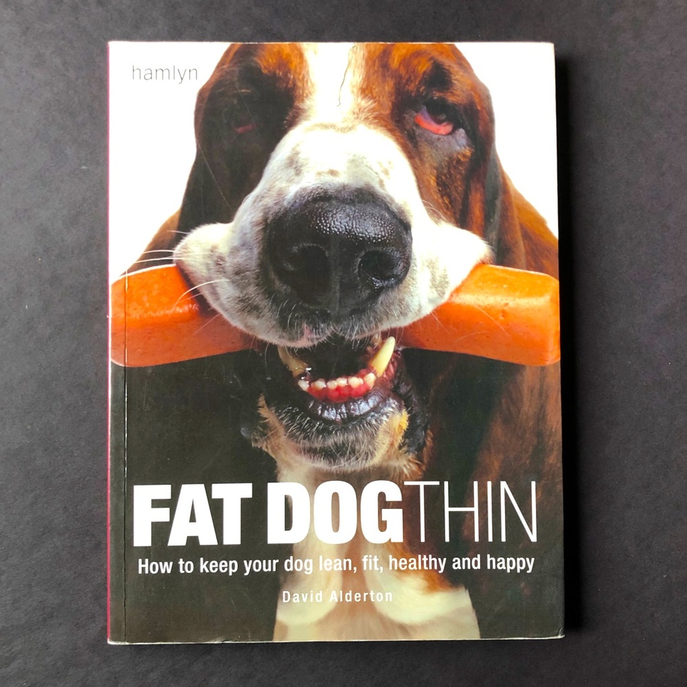 FAT DOG THIN! Book by David Alberton Good Used Condition